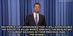 fallontonight:  Jimmy’s Monologue; August