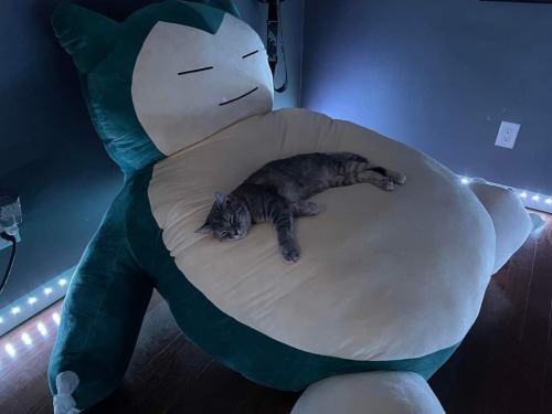 kaanbubelli-deactivated20221218: