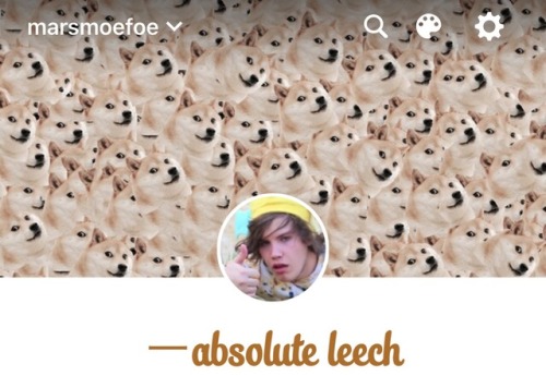 So I made this layout like a year ago and then Max actually did get a Shiba. Guess who’s fore-knowin