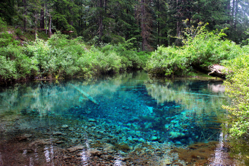 bright-witch:The Wellspring - June 2016Pacific Northwest photography © Michelle Nicole.My Blog 