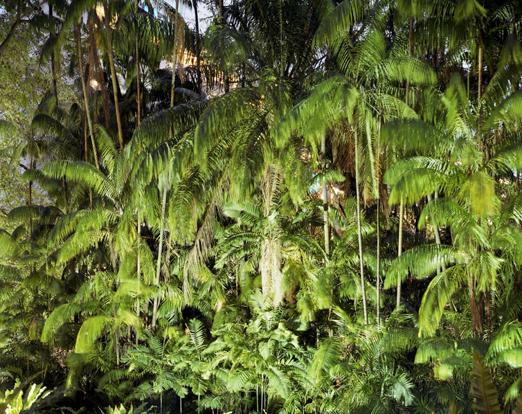 museumuesum:  Peter Bialobrzeski Paradise Now, 2009 C-Prints, 126 x 160 cm each