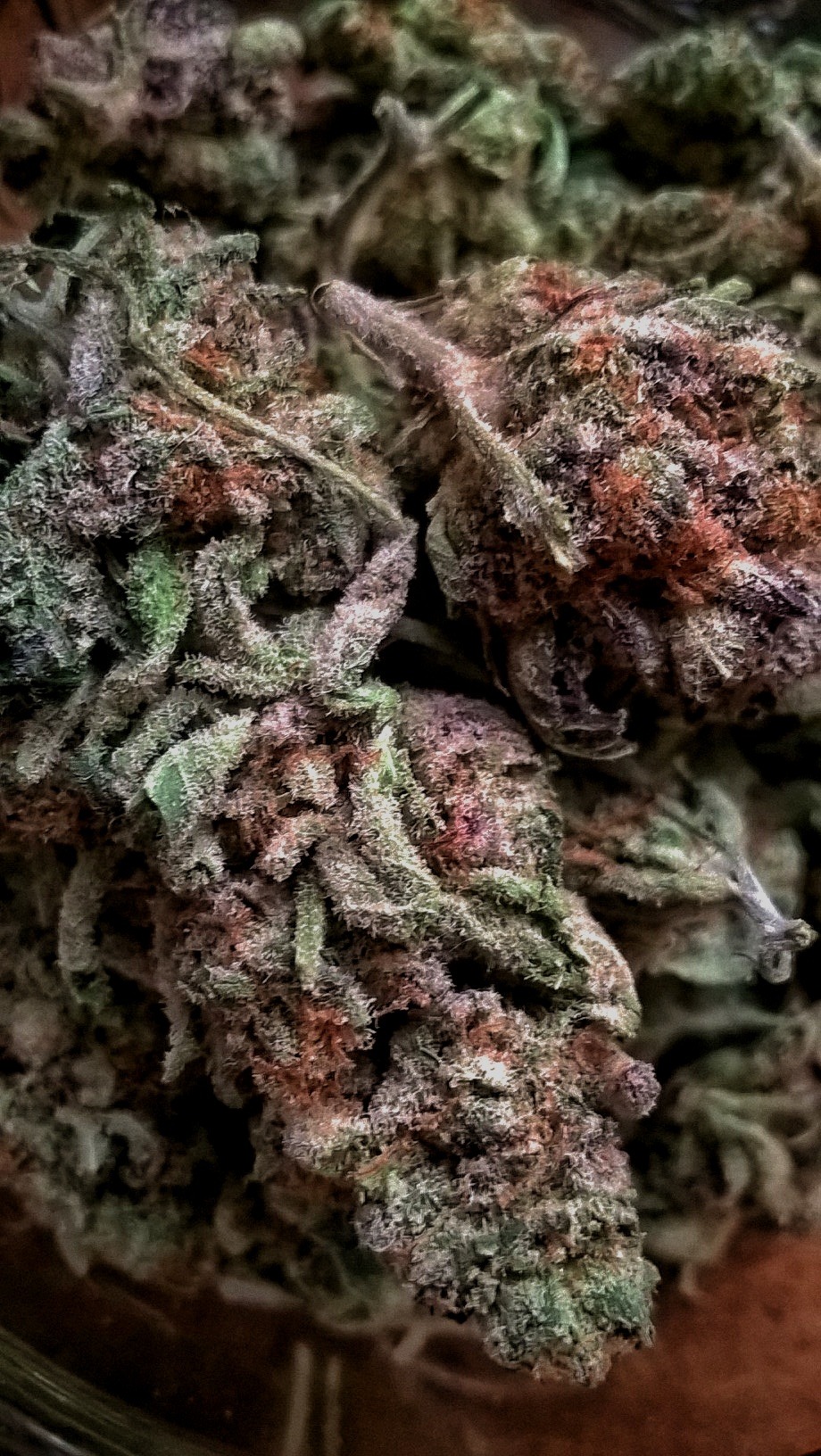 shelovesplants:Cool whip 💨😊 80% indica and 20% Sativa 💨💨