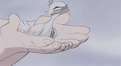 odairannies: You mistreat this poor boy the same way you mistreat my people. You
