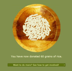 katy-133:  If you have no money to donate, play this game for free and food will be donated to the United Nations World Food Program as you score more points. http://freerice.com  