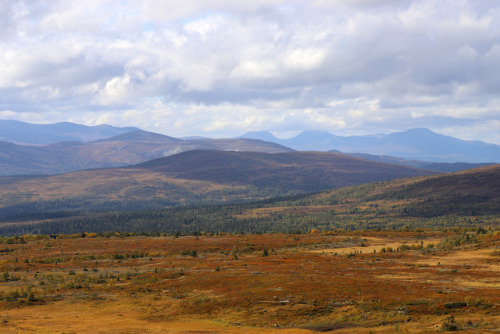 Enjoying the view from Välliste in Jämtland, Sweden.