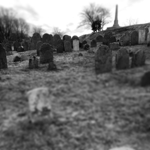 themisse: Like little toy headstones.  From my instagram, taken at Old Burial Hill in Marblehea