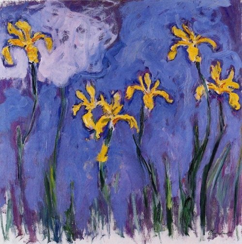  Iris flower  Monet 