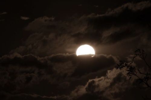 vrykolach:“Midnight Sun” - vrykolach