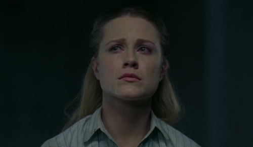 wanderthisworld: ex-libris-blog:   “Tell me, Dolores, did you find what you were looking for?” Dr. Robert Ford & Dolores Abernathy, Westworld ep. 10 ‘The bicameral mind’   #favoriteactor 