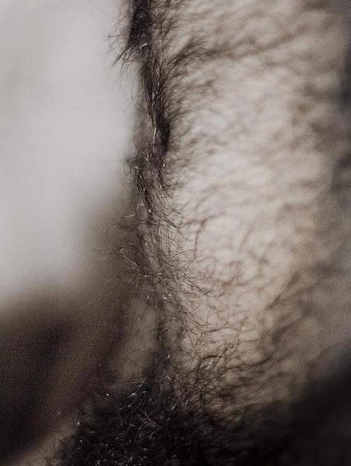 My daddy is hairy