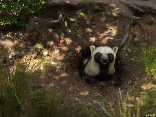 Meet Slinky and Chonky! The badger-like Pseudobassaris and the weasel-like Corumictis were early spe