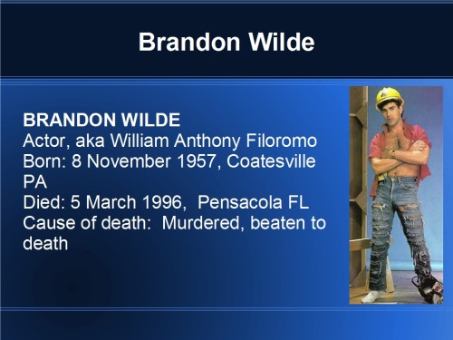 BRANDON WILDE