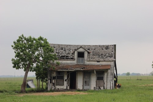 thethirdstroke: Farm Shamble April 10th, 2015 Wharton, TX “Have you seen the two-hundred-foot-