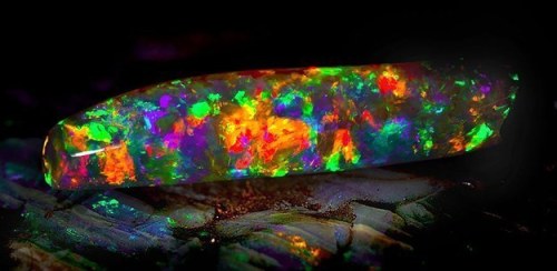 raisinbman:  merhawk:  sixpenceee:  Virgin Rainbow Opal The above opal was discovered in the opal fi