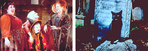 mickeyandcompany:  July 16, 1993 - Hocus Pocus is released