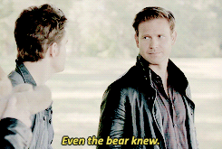 the vampire diaries