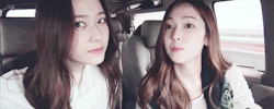 ot9s:   the typical jungsis… 