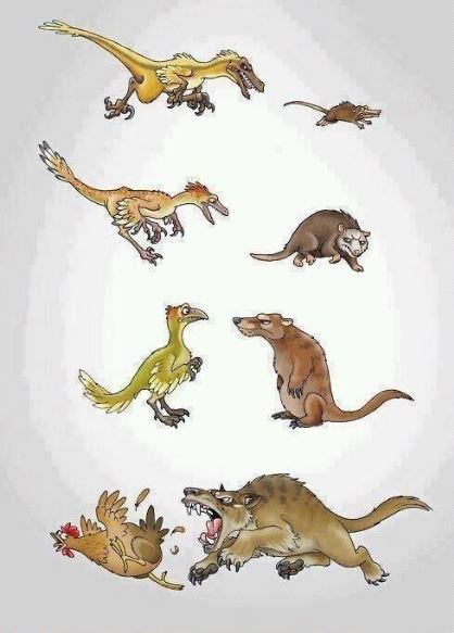 funnyandhilarious:  Evolution is a bitch.Funny porn pictures