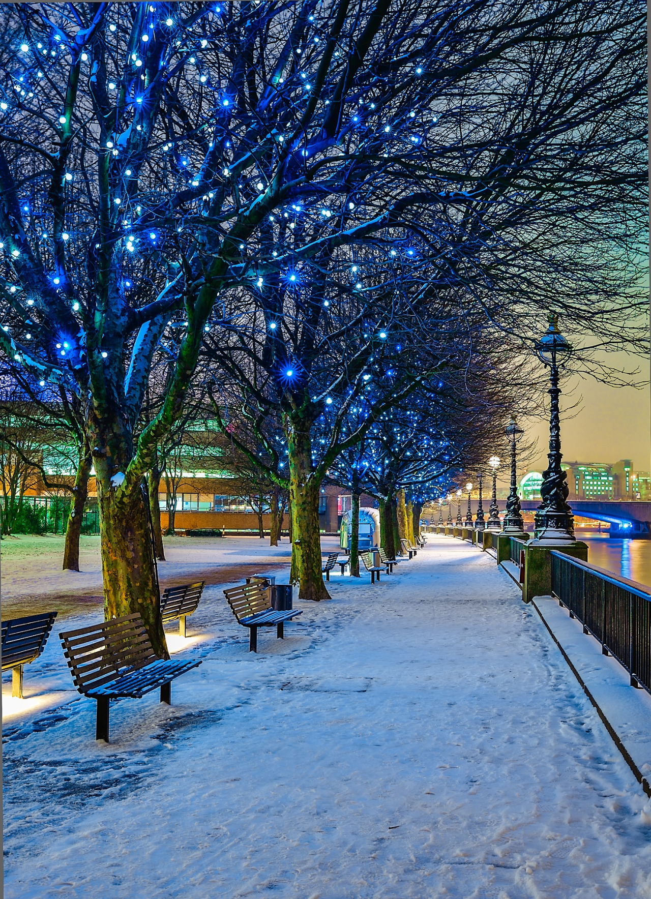 travelgurus:    The Queen’s Walk, London (  South Bank of the River Thames  )  