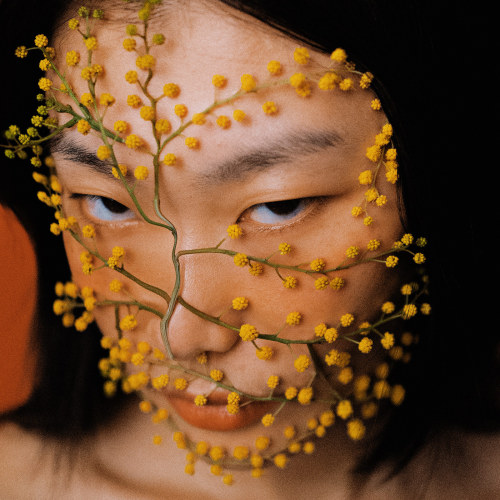 nevver:Pollen count, Zhong Lin