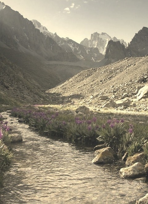 Spring Time In Tian Shan Mountains, Kyrgyzstan