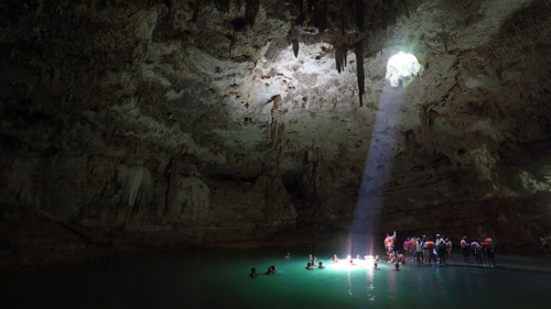 Cenotes are massivesinkholes formed when a cave&rsquo;s ceiling collapses underwater, creatinga netw