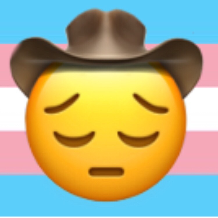 Its Canon I Swear The Sad Cowboy Emoji From The Internet Is Trans - roblox sad emoji