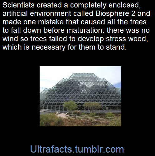 ultrafacts:   The Biosphere 2 project was created as a research tool for scientists