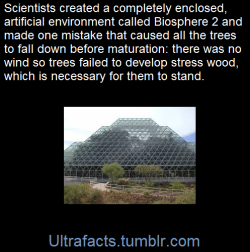 ultrafacts:   The Biosphere 2 project was