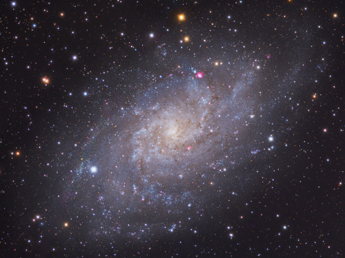 M33 // Triangulum Galaxy // Pinwheel Galaxy