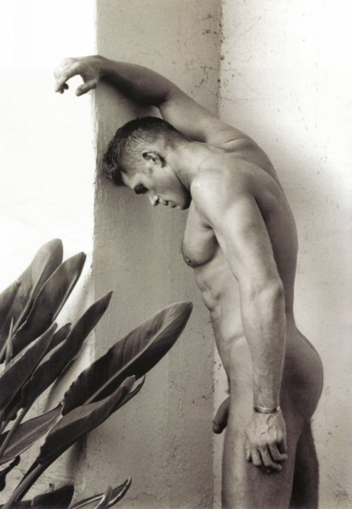 malemayhem:    