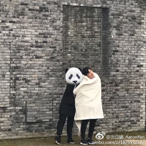 [170221] Aaron Yan’s weibo update :  凍成狗誰要當熊貓人 ​​​​ @ 炎亞綸_AaronYan