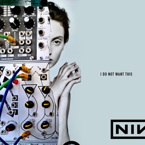 ‘THE DOWNWARD SPIRAL’ - NINE INCH NAILSCOLLAGE: IDEAS DEVELOPMENTTRACK 8: I DO NOT WANT THISI had se