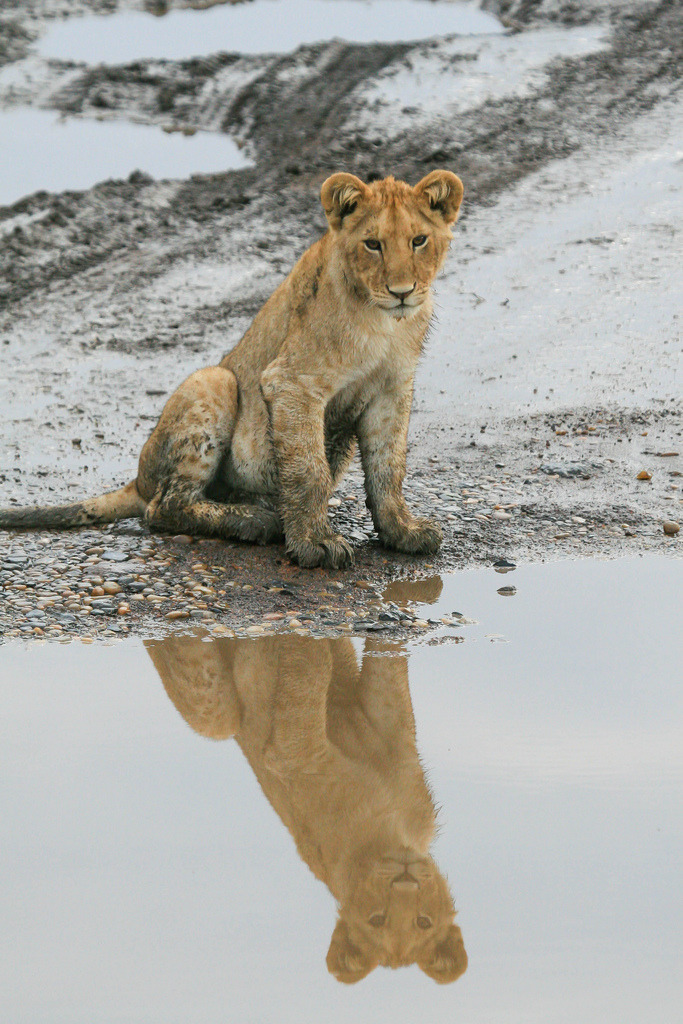 h4ilstorm:  12 (by Darren Wood)