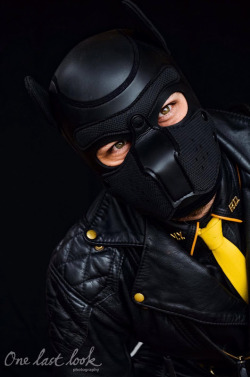 bearconcentrate:  Wow!!! My mate just has his neoprene dog hood arrive and did this quick photoshoot!Looks amazing… that is one hella sexy leather dog my friend!!!Love your gear @mrsleather  WOOF