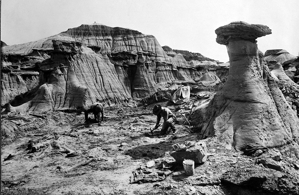 Fossil Friday, Fossil dig.
Check out the amazing landscape.
© The Field Museum, CSGEO44836.
L to R: C. Harold Riggs, John B. Abbott, expedition members excavating the skeleton of Krytosaurus. Landscape and mountains.
Marshall Field Paleontological...