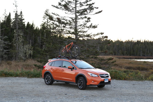 Better view of my lifestyle in Orange at Acadia National Park