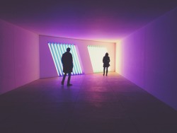 joel:  #danflavin