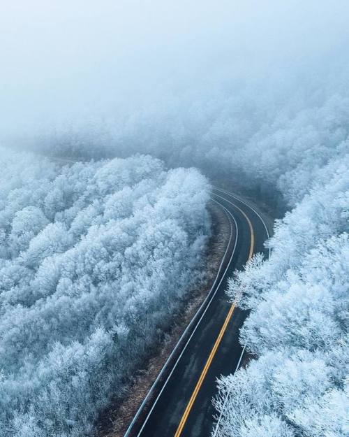 deletingmyself - (by hungqta) North Carolina, USWebsite