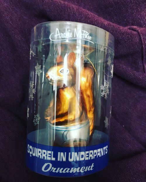 Christmas Can Officially Start Now That I Have My Squirrel In Underpants” Ornament. #squirrelinunderpants
