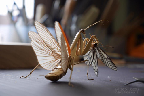 Bamboo Insect Sculptures Brought to Life by Noriyuki SaitohNoriyuki Saitoh stays true to his Japanes