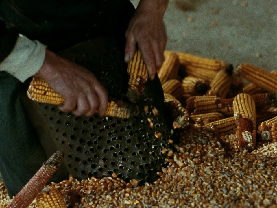 ozu-teapot:The Tree of Wooden Clogs | Ermanno Olmi | 1978