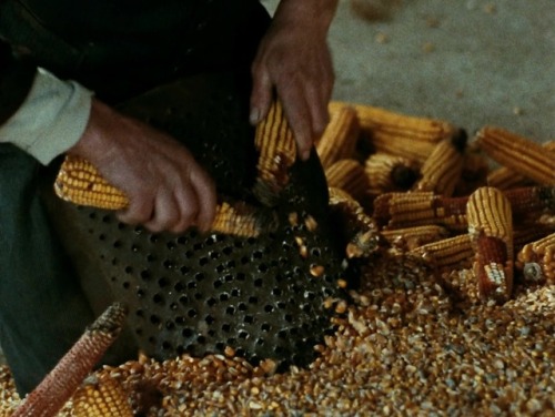 ozu-teapot:The Tree of Wooden Clogs | Ermanno Olmi | 1978