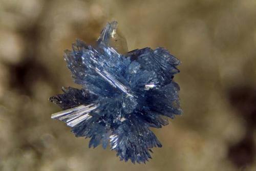 Vauxite inclusionA beautiful mineral cluster of the secondary iron phosphate mineral vauxite, derive
