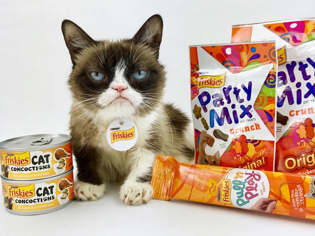 #GingerCatAppreciationDay? What about #GrumpyCatAppreciation? Until then, Waffles The Cat have a very orange day with lots of...