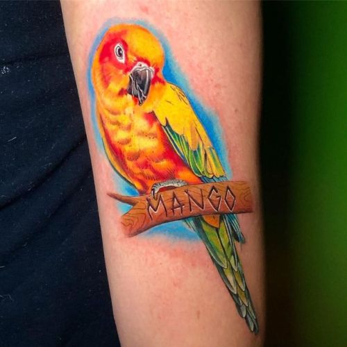 “Mango” I love doing pet portraits, thanks again, Tyler! #tattoo #art #sunconure https:/