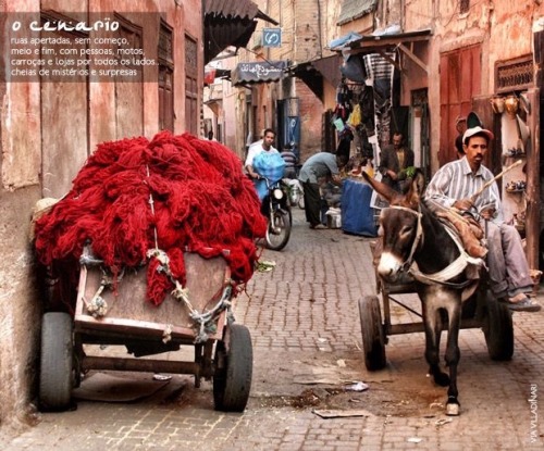 Tiny street with a lot of activities, Morocco.