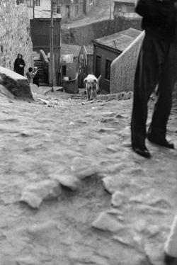 tytusjaneta:   Sergio Larrain CHILE. Valparaiso.