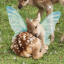 babiesworldd