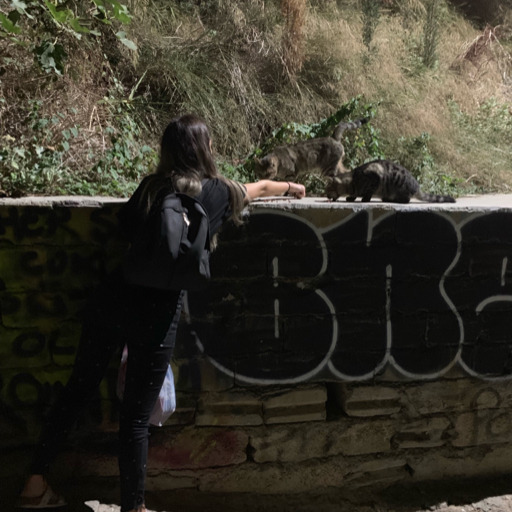 Bin gerade auf dem YOLO tripp. Alkohol, ritzen, Drogen und kiffen. Tut mir leid, weiß aber grad nicht was und wen ich genau will